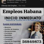 Oferta de Empleo - Img 50933660