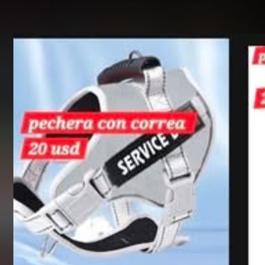 52957459 Pechera con correa perros grandes...20usd Collar de entrenamiento7 usd CORREA --2800 CADENA DE ACERO-----8 usd - Img 123979784