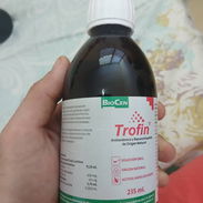 Trofin - Img 58199457