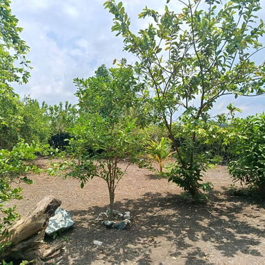 Se vende casa en Poblado Barreras. Guanabacoa - Img 124773664
