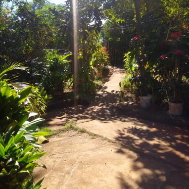 Casa con finquita y árboles frutales - Img 125469905