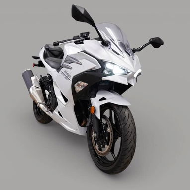 20225 Kawasaki Ninja 500 ABS - 3/4
