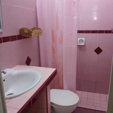 Renta lineal Vedado Apartamento de 1 dormitorio 300usd 53582376 - 8/10