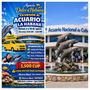 Excursiones a Acuario nacional tu mejor opción. Para relajar de nuestro falta de fluido eléctrico - Img 56552502