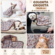 Colchita Chiquita para Mascotas - Img 55028760