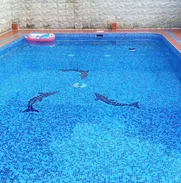 Piscina con recirculación en renta en Alamar , Habana del Este, +53 52463651 WhatsApp - Img 48818809