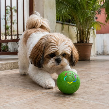 PELOTA INTERACTIVA AUTOMÁTICA RECARGABLE - Img 126102313