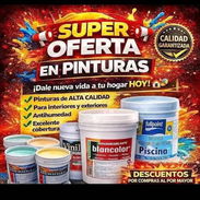 Pintura - Img 56599307