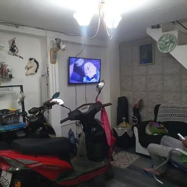 SE VENDE APARTAMENTO EN PROPIEDAD (PLANTA BAJA) - 10/10