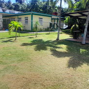 servicios de Jardinería y Limpieza de exteriores ( trabajamos en la mayoría de los Municipios ) - Img 55605919
