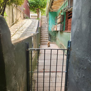 VENTA EN LA VIBORA - 9/10