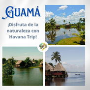 Excursión a Guamá. Viaje con Havana Trip - Img 45369992