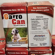 Ernofoxacina para perros. Amoxilinna - Img 50968393
