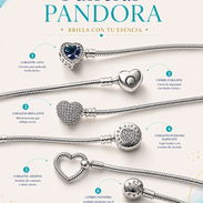 Pulseras flexibles y muchos más modelos - Img 55979065
