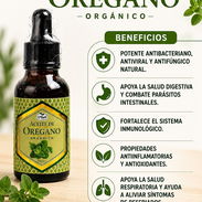 Aceite Orégano - Img 56376831