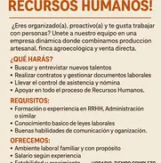 buscamos asistente de recursos humanos - Img 49546468