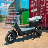 MOTOS - Img 56879501