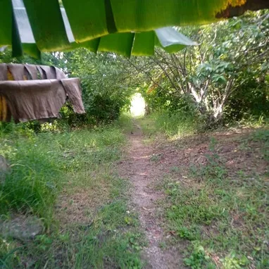 Se vende finca de 832m2 en El Cano La Lisa con una casa de 2 cuartos,cocina,baño y demás para más información llamar o e - 3/4
