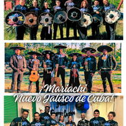Mariachis - Img 57241238