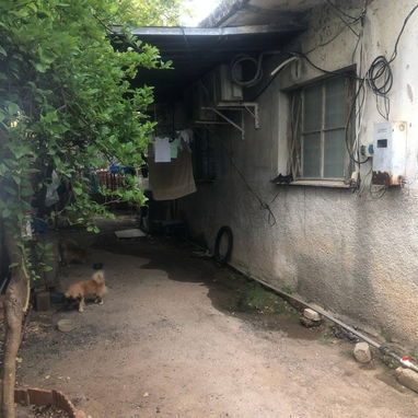 🏡 Casa independiente en La Víbora – 10 de Octubre - Img 115041884