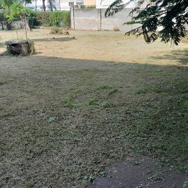 servicios de Jardinería y Limpieza de exteriores ( trabajamos en la mayoría de los Municipios ) - Img 122444852