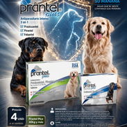 Prantel Plus 10kg y 40kg y más - Img 55983355