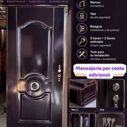 Puertas importadas polimetálicas - Img 57911020