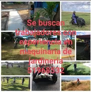 Se buscan trabajador para equipos de jardinería. Con Experiencia - Img 49260165