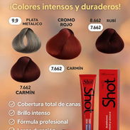 Tinte Shot(plata metalico 9.9, cromo rojo , rubi 8.662 ,carmin 7.662 ): 3 USD - Img 53941158