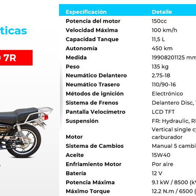 Motos de Combustión Panther - 4/8