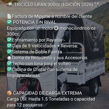 Triciclos Electricos - 6/9