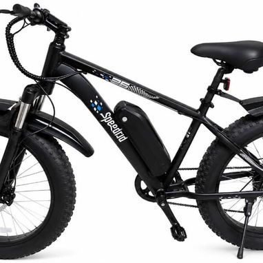 BICICLETA ELÉCTRICA - 2/3