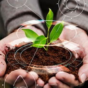 Se busca agropecuario especializado 👨🌾👩🌾 - Img 56203274