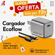 Cargador marca ecoflow - Img 56954965
