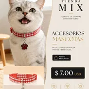 ✨ ¡Para los consentidos de casa! Código: AM-006 ✨ - Img 55783525