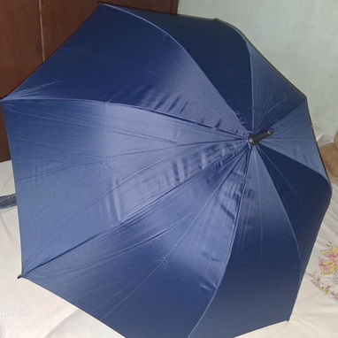 Paraguas azul oscuro - 2/2