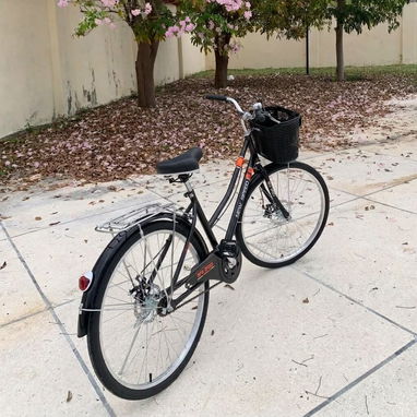🚲 Bicicleta New Speed 26 - 4/4