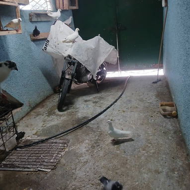 Se Vende Casa Reparto Mazorra. Boyeros - Img 121544180
