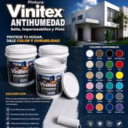 Pintura vinil original - Img 57383939
