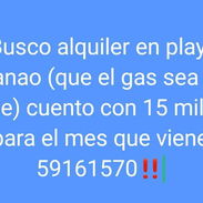 Busco alquileeer - Img 56898307