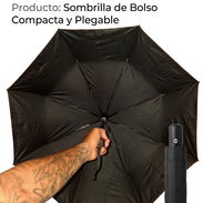 Sombrillad e dolso - Img 55959512