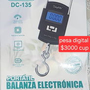 Pesa digital - Img 56255218
