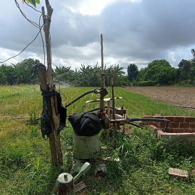 Finca Particular - 2/3