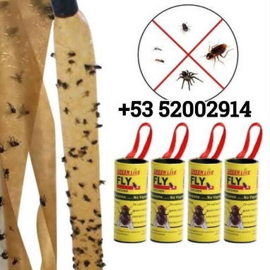Cebos para moscas y mosquitos. - Img 119329010