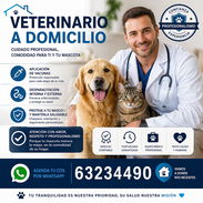 Veterinario a domicilio - Img 55021554
