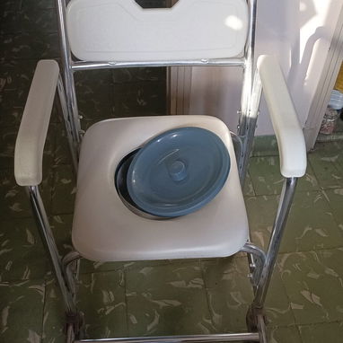 Silla Sanitaria en Perfectas Condiciones - 2/2