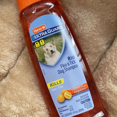 Artículos para perros - Img 125334604