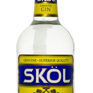 Ginebra Skol (1L) - Img 53977957