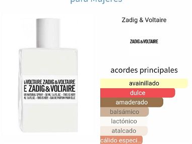 Perfumes ✅Originales✅ Voltaire&Zadig - Img main-image