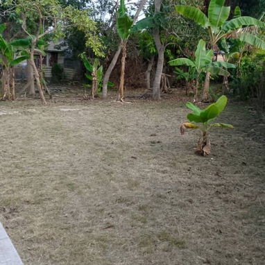 Vendo casa grande con terreno a todo alrededor de la casa - 3/5